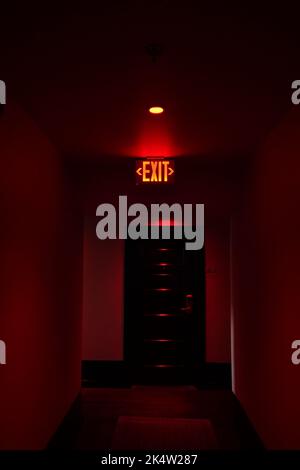 exit red light sign on black background Stock Photo
