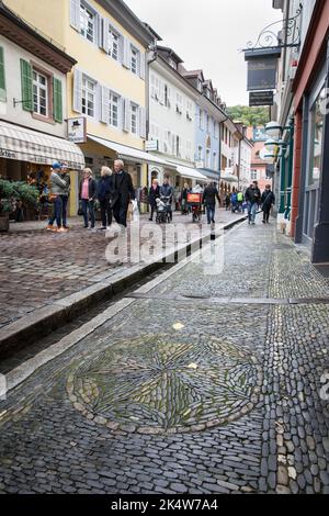 Baechle (small open channel) in Schuster street in the historic town, Freiburg im Breisgau, Baden-Wuerttemberg, Germany. Baechle in der Schusterstrass Stock Photo