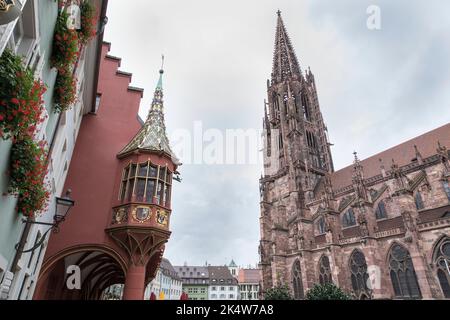 historic Kaufhaus and Freiburg Minster, cathedral, Freiburg im Breisgau, Baden-Wuerttemberg, Germany. Historisches Kaufhaus und Freiburger Muenster, K Stock Photo
