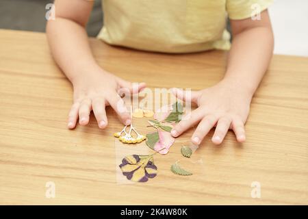 Faceless kid arranging pressed flowers on the glass picture frame. Child making picture from pressed flowers on herbarium f.rame. Stock Photo