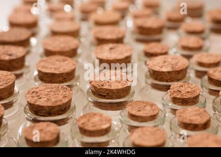 glass jars with corks, soft green background Stock Photo