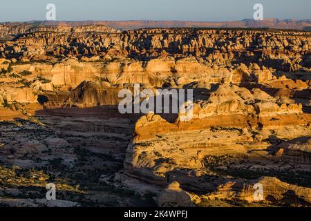 Sunrise view of the Needles District of Canyonlands NP from the Big Pocket Overlook on Cathedral Point.  Utah.  Behind are the Orange Cliffs in the Gl Stock Photo