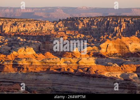 Sunrise view of the Needles District of Canyonlands NP from the Big Pocket Overlook on Cathedral Point.  Utah.  Behind are the Orange Cliffs in the Gl Stock Photo