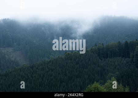 Foggy mountain and forest landscape with the best mystic atmosphere in the east of Bohemia. Stock Photo