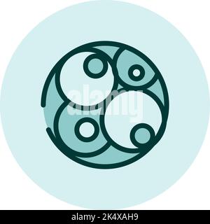 Embriology science, illustration, vector on a white background. Stock Vector