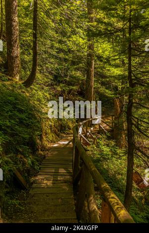 Hiking to the Upper Myra Falls in Strathcona Provincial Park on Vancouver Island Stock Photo