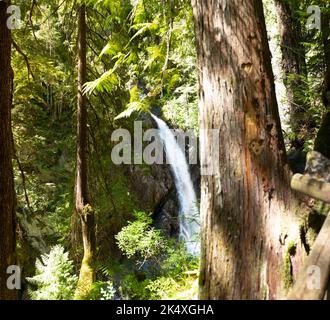 Hiking to the Upper Myra Falls in Strathcona Provincial Park on Vancouver Island Stock Photo