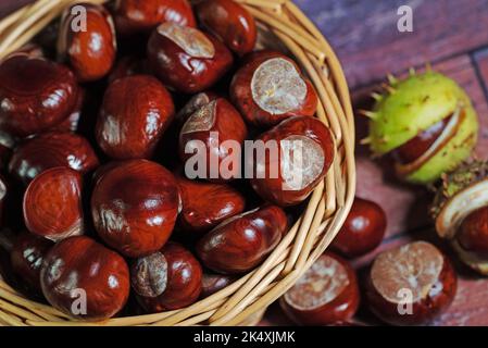 Horse chestnuts in the basket Stock Photo