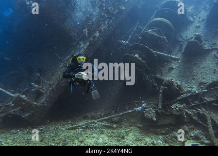 Scuba diver exploring the interior of a submerged wreck of Giannis D on September 30, 2022 in Hurghada, Red Sea, Egypt. In April 1983, Giannis D was loaded with lumber in Rijeka, Croatia, destined for Saudi Arabia and Yemen. The ship passed through the Mediterranean and through the Suez Canal. On 19 April 1983, it was approaching the Gobal Strait at full speed when it was seen to suddenly veer off course and crash heavily into the northwest corner of the Sha'ab Abu Nuhas ridge. The crew abandoned the ship and were safely rescued. The submerged wreck of Giannis D is located at a depth of 4 to 2 Stock Photo