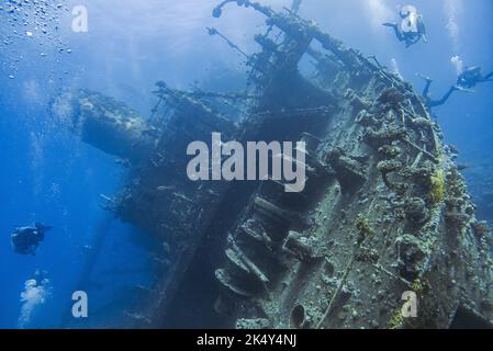 Scuba diver exploring the interior of a submerged wreck of Giannis D on September 30, 2022 in Hurghada, Red Sea, Egypt. In April 1983, Giannis D was loaded with lumber in Rijeka, Croatia, destined for Saudi Arabia and Yemen. The ship passed through the Mediterranean and through the Suez Canal. On 19 April 1983, it was approaching the Gobal Strait at full speed when it was seen to suddenly veer off course and crash heavily into the northwest corner of the Sha'ab Abu Nuhas ridge. The crew abandoned the ship and were safely rescued. The submerged wreck of Giannis D is located at a depth of 4 to 2 Stock Photo