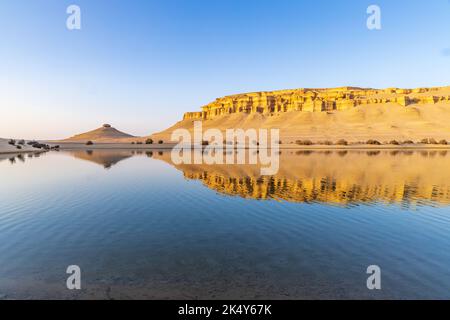 Lake Qarun, Fayoum Oasis, Egypt -- A farmer with his cow on the shores ...