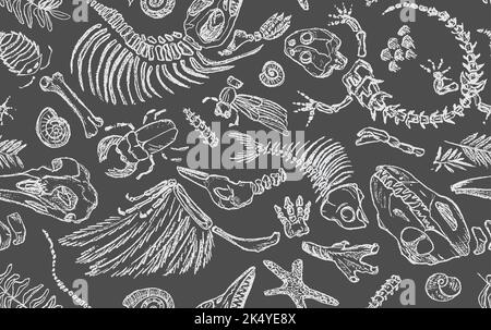 Isolated white chalk contour imprints skeletons of prehistoric animals, insects and plants. Seamless pattern realistic hand drawn art. Vector Stock Vector