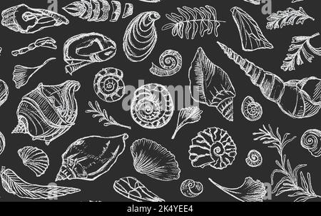 Isolated white chalk contour seashells and plants Seamless pattern Hand drawn ocean shell or conch mollusk scallop Sea underwater animal fossil Stock Vector