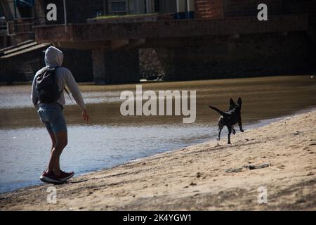 dog playing in the river with man Stock Photo