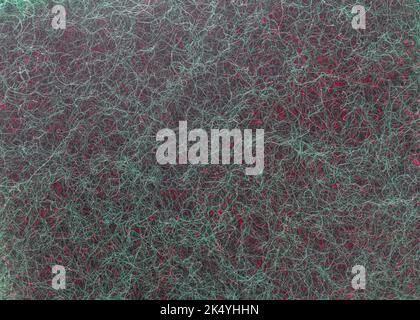 Red and green scouring pad. Stock Photo