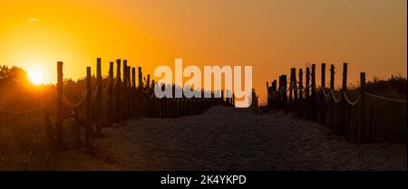 Golden sunset with path and light house, Cape Henlopen State Park, Delaware Stock Photo