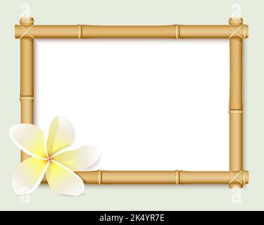 A frame of white plumeria flowers on a pink background Stock Vector