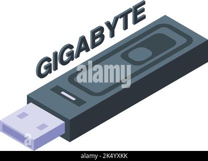 Gigabyte usb flash icon isometric vector. Sd data. Card storage Stock Vector