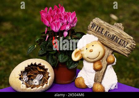 Ostern - Frohe Ostern - Alpenveilchen m Schäfchen u Hasenei Stock Photo