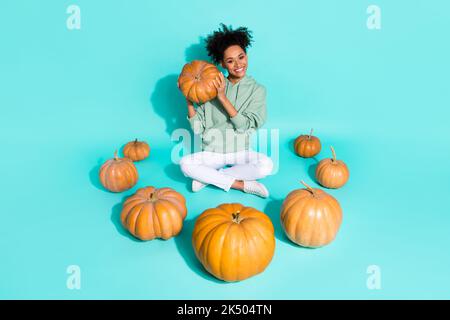 Full length photo of dreamy charming lady wear sweatshirt growing pumpkins isolated turquoise color background Stock Photo