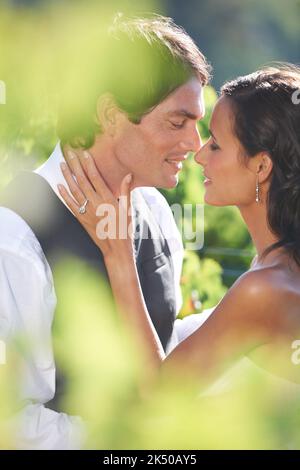 Love between the vines. A bride and groom kissing in a vineyard. Stock Photo