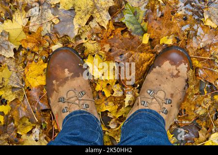 Yellow wet boots on the autumn fallen leaves background. Autumn season composition. View from above. Stock Photo