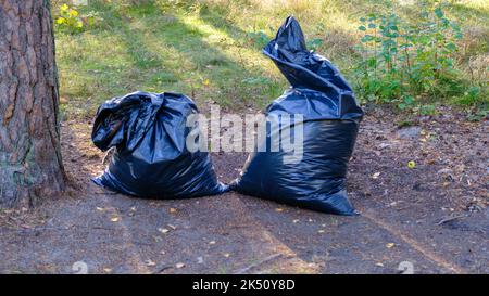 Two black garbage bags full of leaves near the tree Stock Photo - Alamy