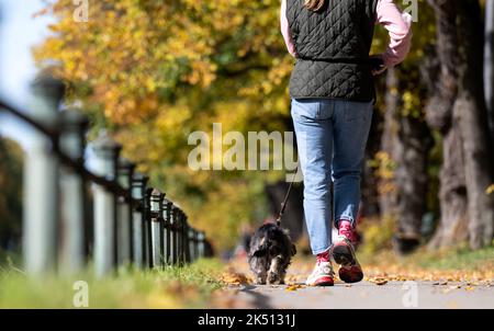 Munich, Germany. 05th Oct, 2022. A woman walks along the Nymphenburg Canal with her dog. Credit: Sven Hoppe/dpa/Alamy Live News Stock Photo