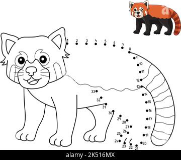 Dot to Dot Red Panda Isolated Coloring Page  Stock Vector