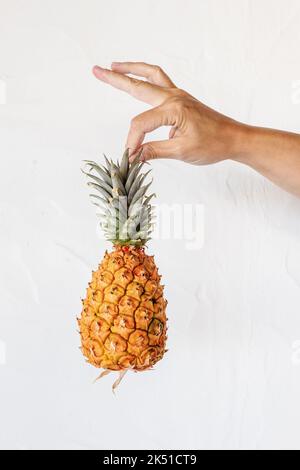 Crop unrecognizable person demonstrating whole fresh ripe pineapple on sunny day against white background Stock Photo