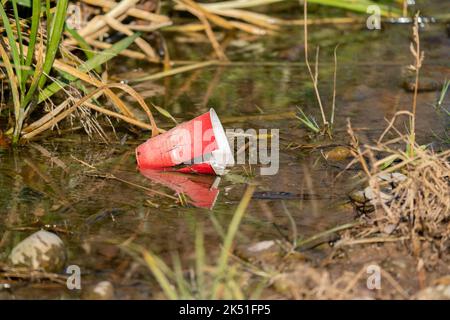 Red solo cup floating in water. Garbage and litter left on the ground at the Riverwood Conservancy in Mississauga in 2022. Stock Photo