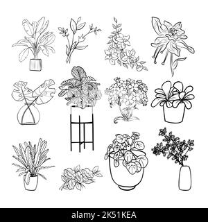 Floral graphic elements big vector set. Flowers and plants hand drawn illustrations Stock Vector