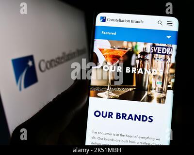 In this photo illustration The Estée Lauder Companies logo seen displayed  on a smartphone with a flag of Russia in the background Stock Photo - Alamy