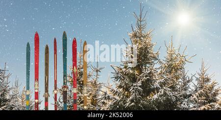 Row of vintage weathered wooden skis in front of snow covered fir trees with shining sun and snowfall Stock Photo