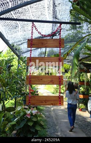 Empty wooden sign in the garden, Wooden signs indicating different locations. Stock Photo