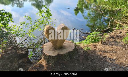 A closeup of the heart shape carved into a tree trunk in bright sunlight Stock Photo
