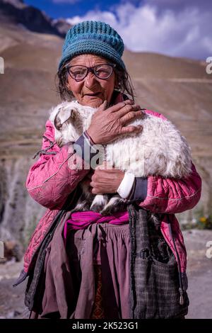 Elderly woman with at goat, Photoksar, Ladakh, India Stock Photo