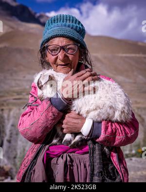 Elderly woman with at goat, Photoksar, Ladakh, India Stock Photo