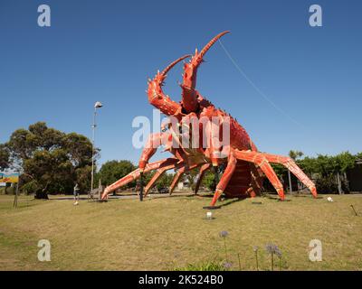 Red lobster South Australia Stock Photo