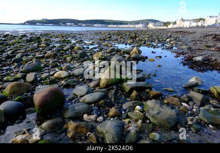 Early morning on the beach at Douglas, Isle of Man. Rock pools are in the foreground with the bay and hotels behind. Stock Photo