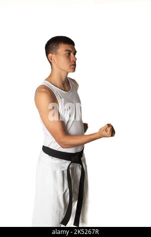 19 Year Old Practacing a Karate Short Punch Stock Photo