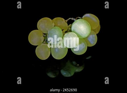 Grapefruit close-up Stock Photo