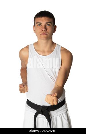 19 Year Old Practacing a Karate Short Punch Stock Photo