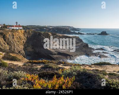 View of Zambujeira do Mar over the sea shore with ocean waves, cliffs and sand dunes covered by green vegetation red leaves of sour fig, sunny day Stock Photo
