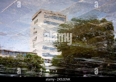 Tall building and trees reflecting in a rany puddle on wet city street pavement Stock Photo