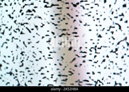 Old LCD color TV screen black and white noise grain up close, detail. Lost signal, interrupted broadcast end simple abstract concept, background textu Stock Photo
