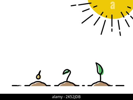 growth stages of a tree from a leaf to a natural plant. Concept of plant growth. Vector illustrations with phases plant growth. Outline trendy style. Stock Vector