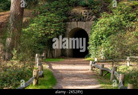 Landscape of Heidestein nature reserve between Zeist and Driebergen-Rijsenburg, The Netherlands Stock Photo