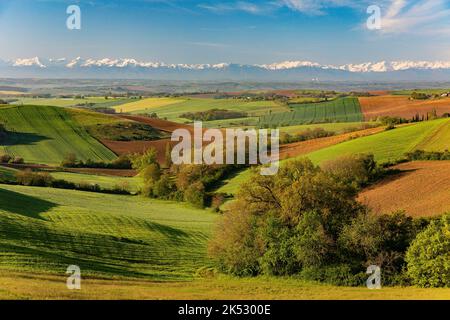 France, Gers, Masseube, in Astarac region, landscape of the Gers with the Pyrenees in the background Stock Photo