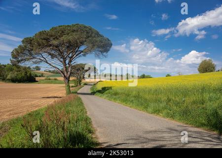 France, Gers, Masseube, in Astarac region, landscape of the Gers Stock Photo